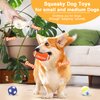 LLSPET 2.4" Squeaky Latex Dog Toy Ball Sports Balls Sets, Soft, Bouncy & Durable for Small Medium Dogs Puppy Interactive Chew Toys 5 Pcs/Set