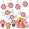 Wiooffen 80Pcs Christmas Peppermint Candy Paper Plates Party Supplies Decorations Candy Mint for Happy New Year Holiday Xmas Peppermint Party Supplies Red and White Striped Disposable Paper Tableware