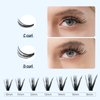 IECILI Lash Clusters Individual Lashes - 280pcs 40D Cluster lashes for DIY Lash Extensions -Super Thin & Soft Eyelashes 10-16mm D Curl Cluster Eyelash Extensions for Natural Wispy Look