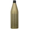 Salerm Cosmetics Protein Shampoo, 36 Ounce/1000 ml