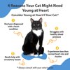 Pet Wellbeing Young at Heart for Cats - Vet-Formulated - Supports Cardiovascular System | Heart & Circulatory Health - Natural Herbal Supplement 2 oz (59 ml)