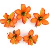 2" Tropical Orange Lily 5 Piece Lot Silk Flower Hair Clips