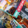 Springbok's Lakeside Fall Retreat 1000 Piece Puzzle for Adults Takes You On a Wonderful Lakeside Escape