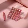 6Pcs Matte Liquid Stick Sets, Natural, Moisturizing, Plump Lip Gloss Set, Red Lip Gloss Women Long Lasting Waterproof Beauty Finishing(Set B)