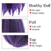 Dmovinse 12Inch Marley Hair Braiding Hair 5Packs Ombre Short Springy Afro Kinky Twist for Soft Locs Pre Fluffed Crochet Braids Synthetic Crochet Hair Extensions(Mixed Purple#)