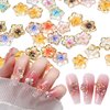 100Pcs Flower Nail Charms Flatback Resin Charms Design 3D Flowers Nail Gems and Charms Supply Acrylic Spring Blossom Tiny Flowers Nail Art Charms for Women DIY Manicure Nail Jewel Decor Accessories