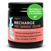 LEGION Recharge Post Workout Supplement - All Natural Muscle Builder & Recovery Drink with Micronized Creatine Monohydrate Naturally Sweetened & Flavored (Arctic Blast, 30 Servings Pack of 1)