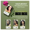 Naturtint Black Root Retouch Crème Permanent Hair Color - Ammonia Free, Conceal Grays, No Artificial Scent, 1.52 Fl Oz