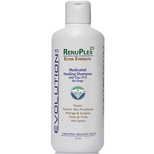 RenuPlex Medicated Dog Mange Shampoo. Extra Strength Mange Shampoo for Dogs Eliminates Mange, Scabies & Severe Skin Problems. All Natural Dog Shampoo. Unconditional Guarantee. Made in USA…