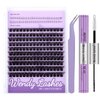 WENDY Lashes Clusters DIY Eyelash Extension Kit - D Curl C3 & Bottom Lashes with Bond and Seal Tweezers Cluster Eyelash Extensions Wispy Soft Individual Lashes, Suitable for Beginners, 10-16 MM