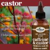 Difeel 99% Natural Premium Hair Oil - Caffeine & Castor Hair Oil 8 oz. (PACK OF 2)
