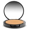 SHANY Dual Powder Foundation, Oil - Free, Talc Free, Wet/Dry - PURE BEIGE
