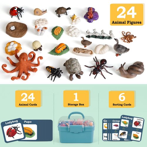 Life Cycle Toys for Kids - Life Science Education Kits: Ladybug, Ants, Goose, Land Turtle, Snail, Octopus - 24 Pieces Animal Models STEM Learning Toys for 3-10 Year Old