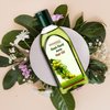 Patanjali Amla Hair Oil 100ml / 3.38 fl oz