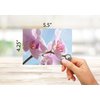 Small World Greetings Orchid Flower Note Cards 12 Count - Blank Inside with White Envelopes - A2 Size 5.5" x 4.25" - Floral Stationery - All Occasion Birthday, Thank You, and More
