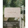 MARLOWE. No. 102 Men's Body Scrub Soap 7 oz, Fresh Original Woodsy Scent, Best Exfoliating Bar for Men, Made with Natural Ingredients, Apricot Seed Powder, Shea Butter, Olive Oil, Green Tea Extracts