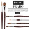 Speedball Art Products Escoda Prado Series Artist Watercolor & Acrylic Short Handle Filbert Paint Brush, Size 10, Synthetic Sable