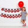 Ladybug Birthday Party Supplies Ladybug Birthday Banner, Cute Ladybird Bday Bunting Sign Ladybird Happy Birthday Banner for Ladybeetle Themed/Insect Theme Baby Shower Decorations