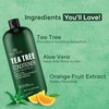 Botanic Hearth Tea Tree Conditioner | For All Hair Types | Fights Dandruff & Dry Scalp | With Vitamin C, Peppermint Oil, Rosemary Oil & Lavender Oil | Sulphate & Paraben Free | 16 fl oz