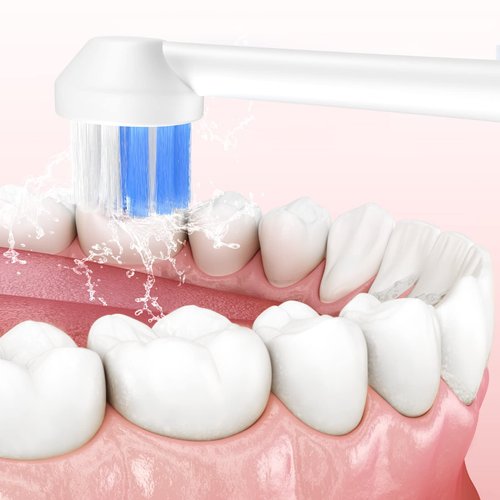 ZACCER Replacement Tips for Water Flosser Classic Jet Tips Replacement Parts and Oral Irrigators,8 Counts