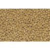 Northfin Fish Food Cichlid Formula Slow Sinking Pellets (1mm 100g)