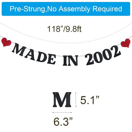 ABCpartyland Black Glitter Paper Made in 2002 Banner,Funny 22nd Birthday Party Decorations Supplies, Pre-Strung,Letters Black,MADE IN 2002