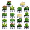 Cactus Tealight Candles(18 Pcs Gift Boxed), Artificial Succulents Decorative Tea Light Candles,Perfect for Birthday Wedding Party Home Decor