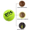 AMA SPORT 2.5in Dog Tennis Balls, 12 Pack Colorful Tennis Balls for Dogs, Designed for Puppy Small Medium Dogs Floating, Water-Hunting, Fun Playing, Daily Exercise, mid-air Catching