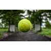 Iconikal 12-Pack Dog Fetch Pet Toy Bulk Tennis Balls for Small Dogs and Cats, Green, Standard Size