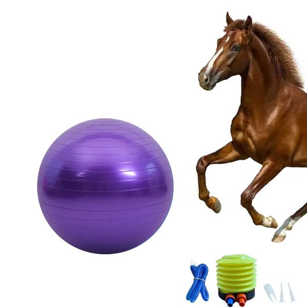Chyesong Horse Ball Training Toy, Anti-Burst Horse Exercise Ball Toy with Inflator Pump for Horse Lamb Goat Enterainment Toy Ball (25inch Purple )