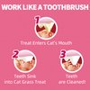 Just Try 13.4 OZ Urinary Tract Cat Treats for Indoor Cats Health Supplement Cranberry & D-Mannose for Kidney Bladder UT Support Salmon Flavor Crunchy Chews Cat Loves