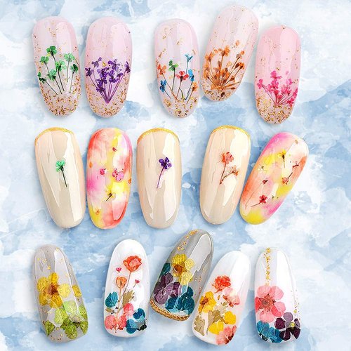 2 Boxes Dried Flowers for Nail Art, KISSBUTY 24 Colors Dry Flowers Mini Real Natural Flowers Nail Art Supplies 3D Applique Nail Decoration Sticker for Tips Manicure Decor (Gypsophila Flowers Leaves)