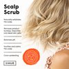 dpHUE Apple Cider Vinegar Scalp Scrub - 9 oz, Pack of 2 - Natural Exfoliating Scrub & Dry Scalp Treatment - With Pink Himalayan Sea Salt, Aloe Vera & Avocado Oil - Gluten Free, Vegan