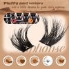 Fluffy Lash Clusters 5D Volume Lashes Clusters 10-16mm Cluster Eyelash Extensions Wispy DIY Individual Lashes Extension Soft False Eyelashes Clusters by ALPHONSE