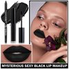 ZHISHUDL Matte Black Lipstick Lip Liner Set Black Liquid Lipstick Lip Tint Stain High Pigmented Black Lip Liner and Lip Gloss Set for Halloween Christmas Cosplay Goth Makeup