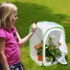 RESTCLOUD Insect and Butterfly Habitat Cage Terrarium Pop-up 24 Inches Tall with 10Pcs 10ML Floral Tubes