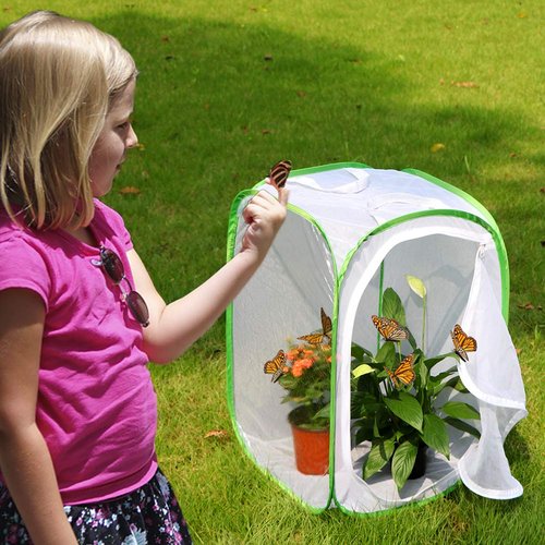 RESTCLOUD Insect and Butterfly Habitat Cage Terrarium Pop-up 24 Inches Tall with 10Pcs 10ML Floral Tubes