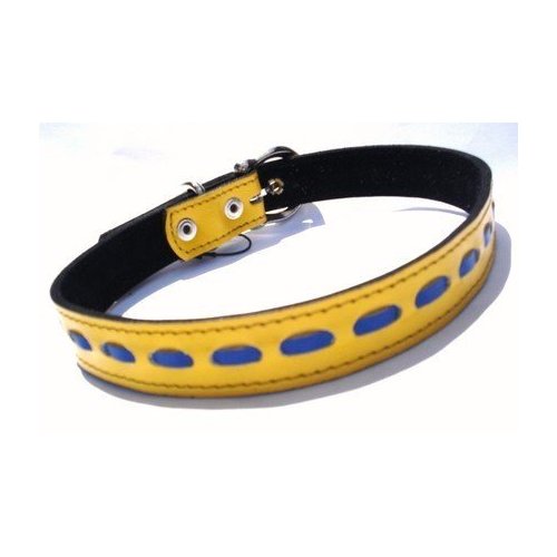 The Cool Puppy XL Cool Leather Dog Collar Yellow and Blue