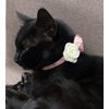 Fupo Cute Cat Collar Breakaway with Flowers Adjustable from 7.5" to 11.8" for Girl Kitten Puppy Small Cats Dogs (Pink)
