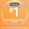 Softsoap Antibacterial Liquid Hand Soap Pump, Crisp Clean - 11.25 fluid ounce