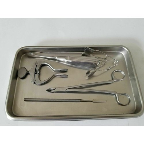 Rodent Small Animal Cheek Teeth Molar Incisor Dentistry Dental Care Kit Set Tray Rabbit Chinchilla Gerbil Guinea Hamster Rat Veterinary Stainless Steel Instruments