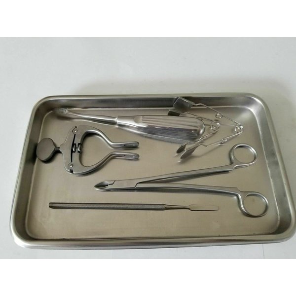 Rodent Small Animal Cheek Teeth Molar Incisor Dentistry Dental Care Kit Set Tray Rabbit Chinchilla Gerbil Guinea Hamster Rat Veterinary Stainless Steel Instruments
