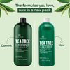 Botanic Hearth Tea Tree Conditioner | For All Hair Types | Fights Dandruff & Dry Scalp | With Vitamin C, Peppermint Oil, Rosemary Oil & Lavender Oil | Sulphate & Paraben Free | 16 fl oz