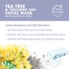 Petal Fresh Tea Tree & Volcanic Ash Facial Mask, Blemish Control, Clean Skincare, Pair With Facial Cleanser, Vegan and Cruelty Free, 7 oz