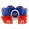 NCAA Florida Gators Princess Tiara, Blue