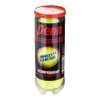 Penn Championship Regular Tennis Balls Single Can