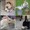Qoaimu 8 Pcs Stacking Cups for Rabbits, Bunny Toys, Bunny Stacking Cups to Play with Rabbits, Multi-Color Reusable Rabbit Enrichment Toys, Small Animals Rabbits Bunny Hiding Food and Playing Toys