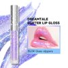 FOCALLURE Glitter Liquid Lipstick,Hydrating,Moisturizing Lip Gloss for Women,Sparkly Shimmer Lip Makeup,Long Lasting,Lightweight Formula for Lip Color and Shine,Glass slippers