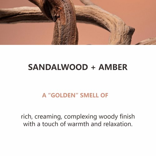 Premium Bath and Body Gift Basket Set for Men - Sandalwood and Amber - Body Wash Shampoo, Body Lotion, Facial Scrub, Holiday Christmas Gifts Ideas, Birthday Gifts for Men, Fathers Day Gifts for Him