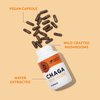 Vimergy Chaga Mushroom Capsules, 30 Servings – Real Mushroom Herbal Supplement for Cardiovascular Support - Kosher, Non-GMO, Gluten-Free, Vegan, Paleo - 100% Pure Chaga with Zero Fillers (90 Count)